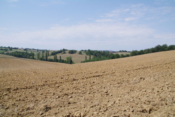 Labours au dessus de Pirolle