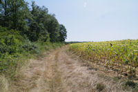 A l_ore de la Fort de Mauboussin au dessus de Pirolle