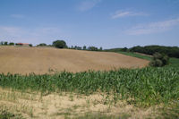 La ferme de Picana depuis Le Terme