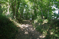 Joli chemin au sortir de Salleneuve