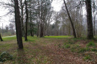 En entrant dans le Bois d_Aliot sur l_ancienne voie romaine Toulouse - Tarbes