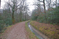 Dans la Fort Domaniale de Gardeilhac au bord du canal de Franquevielle  Gardeilhac