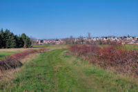 Chemin d'hiver a l'Union