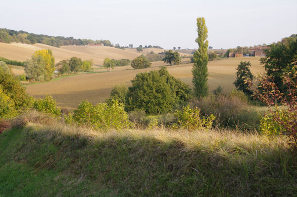 Le vallon des Chvres depuis Lizoule