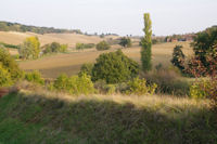 Le vallon des Chevres depuis Lizoule