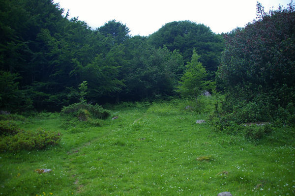 En arrivant  Pont du Prat (Tramesaygues)