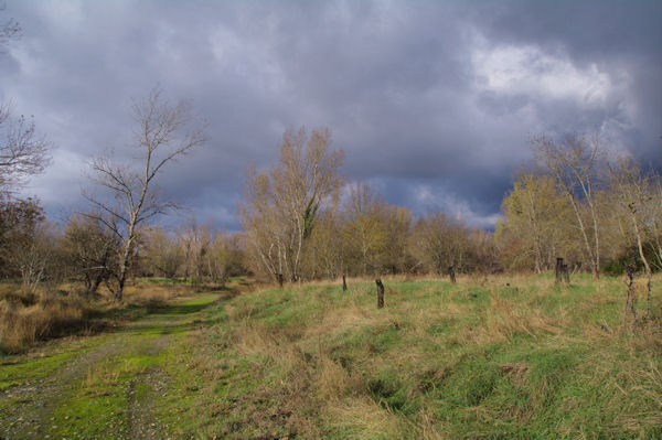 Le chemin  Port Haut