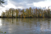 La Garonne depuis l_Ile de Martignac