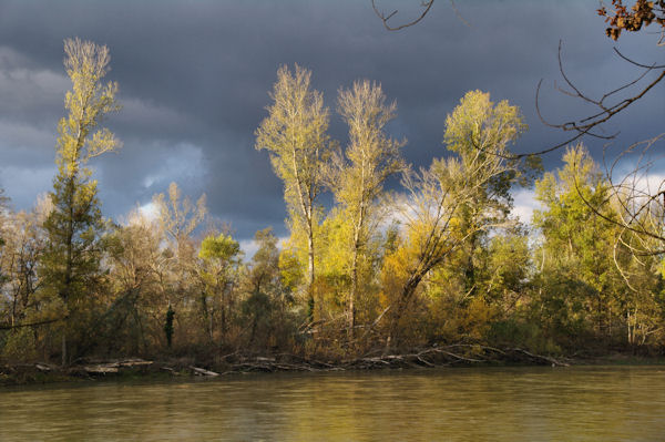 La Garonne depuis l_Ile de Martignac