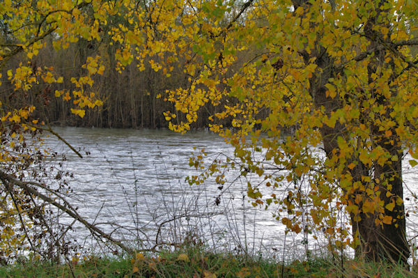 La Garonne depuis la Grande Prairie