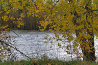 La Garonne depuis la Grande Prairie