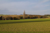 Le vallon du Laragou depuis la D20