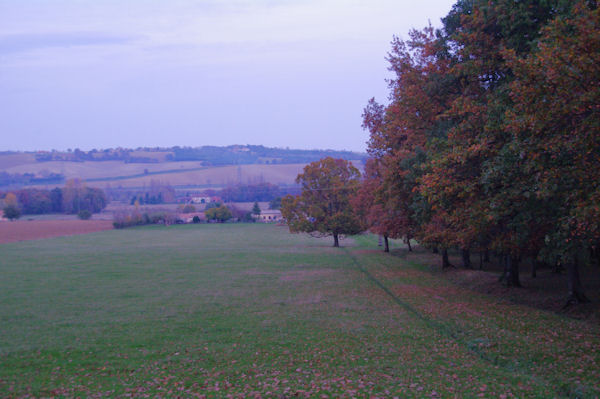 Rougeurs du soir vers Luet