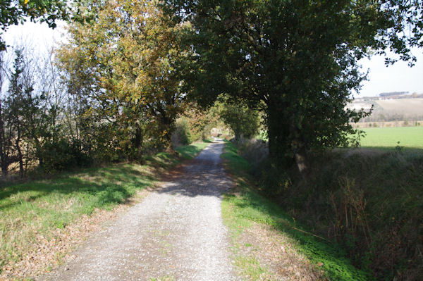 Le chemin menant  la valle du Girou