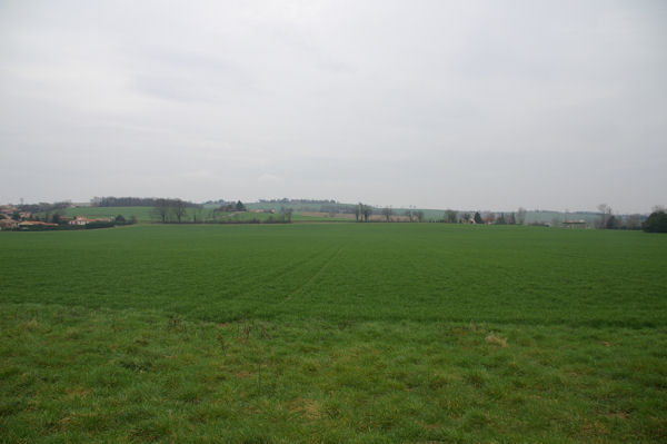 La campagne Lauragaise