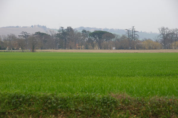 Vue de En Farine aprs Borde Blanche