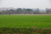 Vue de En Farine apres Borde Blanche