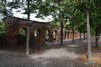 Sur le Campus de l'Universite des Sciences Sociales