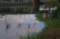 Exposition Chemin d_Eau sur le Canal du Midi