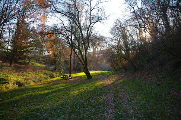 En bas du Bois de la Linasse