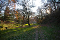 En bas du Bois de la Linasse