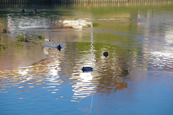 Le lac de St Clair gel