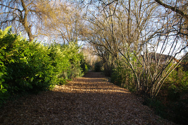 Au bord du ruisseau du Loup