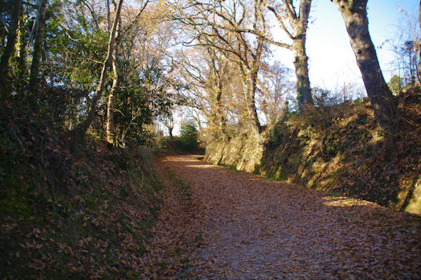 Le chemin de Sironis  Balma