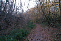 Le Bois de la Linasse