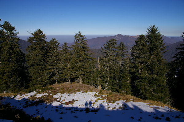 Le Pic de l'Aube depuis les pentes du Tuc de l'Etang