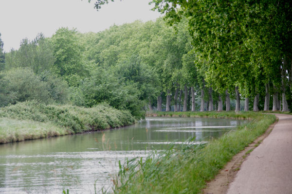 Le Canal du Midi vers Borde Rouge