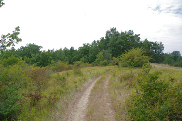 Le sentier vers La Garrigue