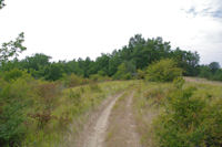 Le sentier vers La Garrigue