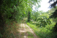 Le chemin remontant vers le Pech des Agnels