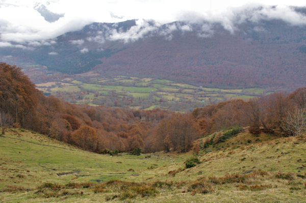 Le Bois de la Prze