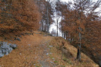 Un chemin forestier dans le bois de la Preze