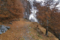 Un chemin forestier dans le bois de la Prze