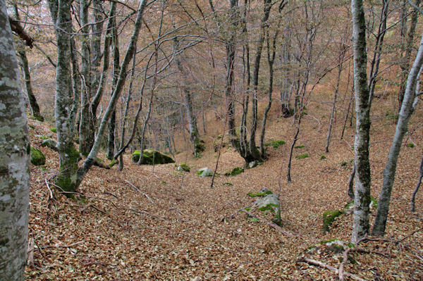 Hors sentier dans le Bopis de la Prze