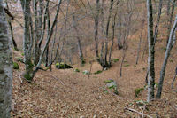 Hors sentier dans le Bopis de la Preze