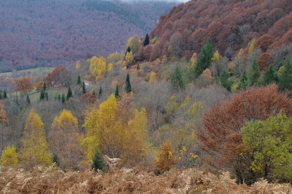 Paysage automnier dans le haut de la valle du Bergons