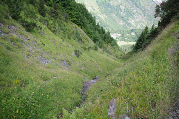 Le ruisseau descendant du Monest