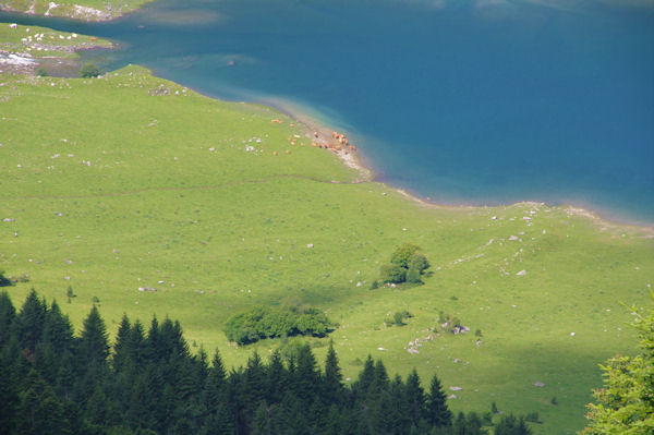 Les bords du Lac du Tech