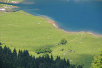 Les bords du Lac du Tech