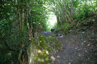 Le sentier dans le Bois du Sequet