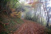 Le chemin de la Reine Hortence (GR10)