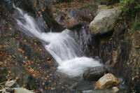 Le ruisseau du Laun devalant vers Arrens