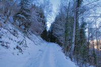 Le chemin au dessus du Bayens