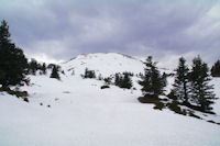 Le Cap Nests