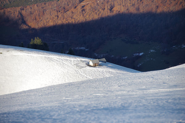 La cabane de la Prade