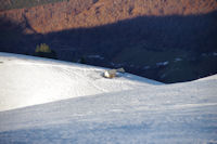 La cabane de la Prade